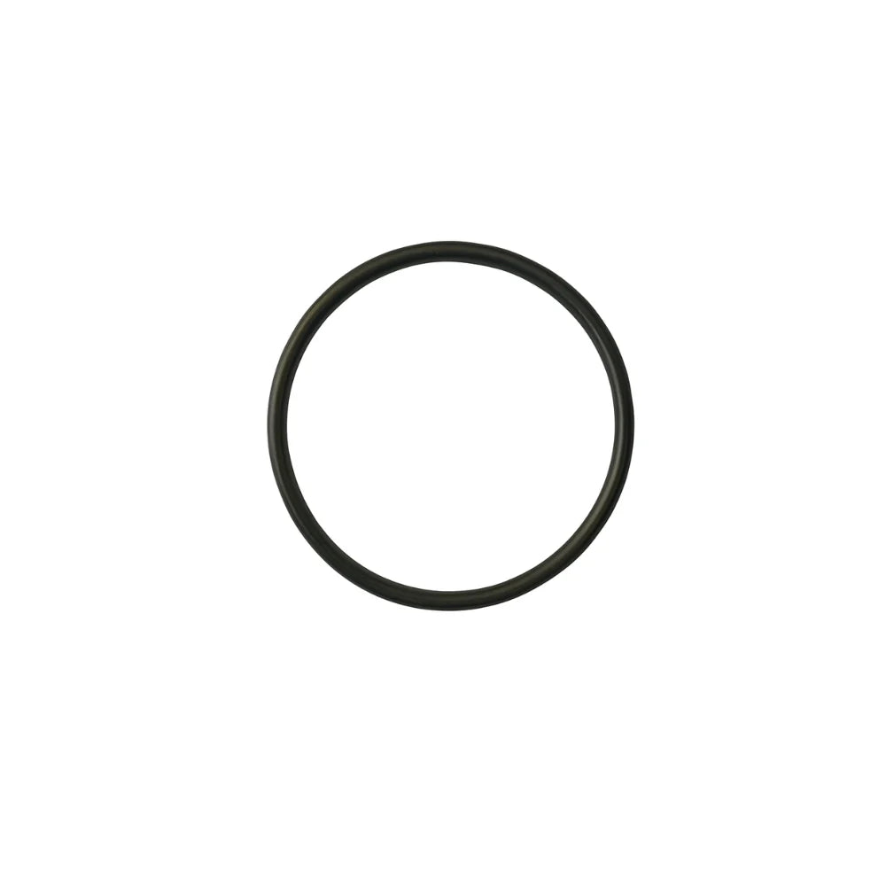 Watermaid_Cell_O_Ring_Thin_EZ300_Chlorinator_Seal_Replacement_Drive_In_Pool_And_Spa_Warehouse