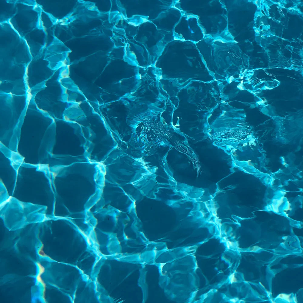 How to fix a green pool fast — chlorine shock, algaecide and clarifier treatment guide