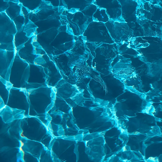 How to fix a green pool fast — chlorine shock, algaecide and clarifier treatment guide