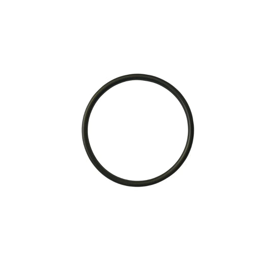 Watermaid_Cell_O_Ring_Thin_EZ300_Chlorinator_Seal_Replacement_Drive_In_Pool_And_Spa_Warehouse